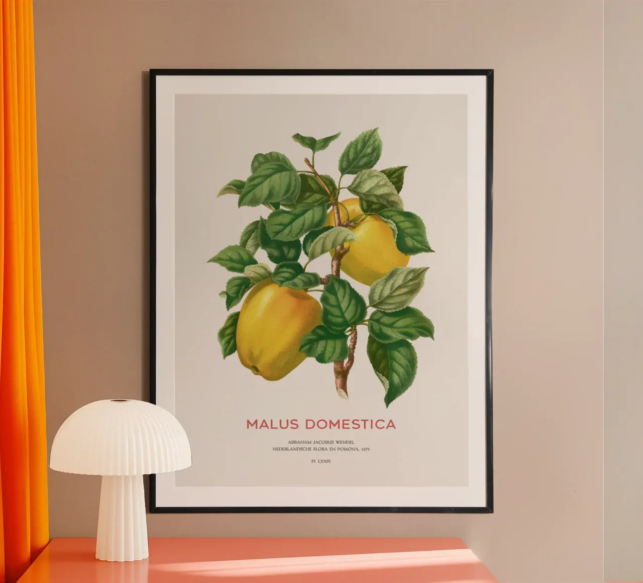 Gelber Apfel oder Malus domestica Hahnemühle von Vintagrafica
