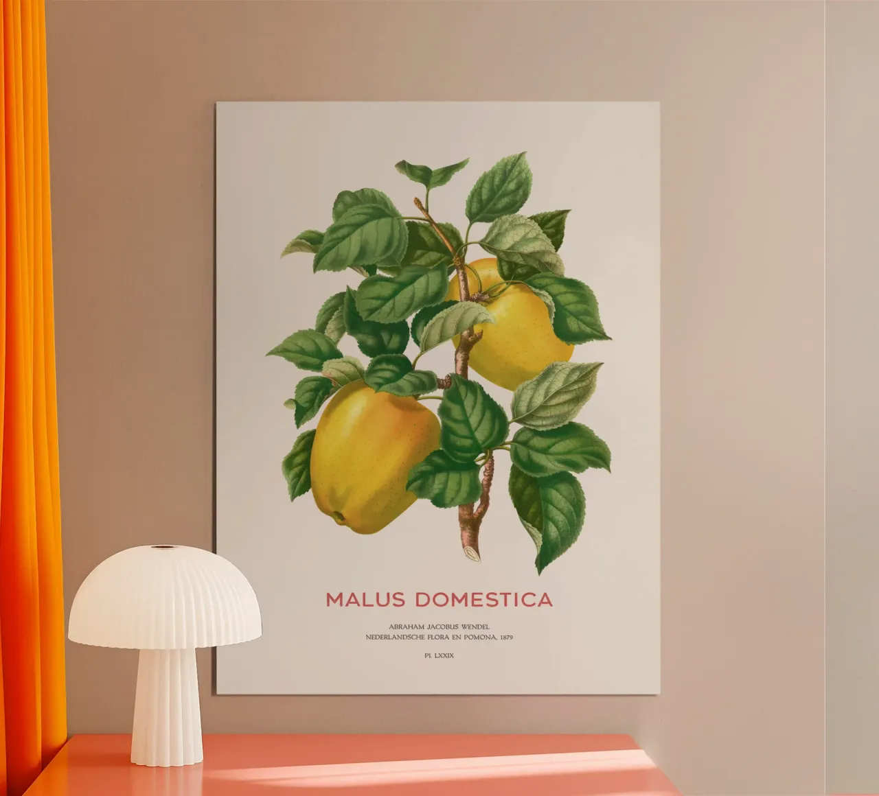 Gelber Apfel oder Malus domestica Hahnemühle von Vintagrafica
