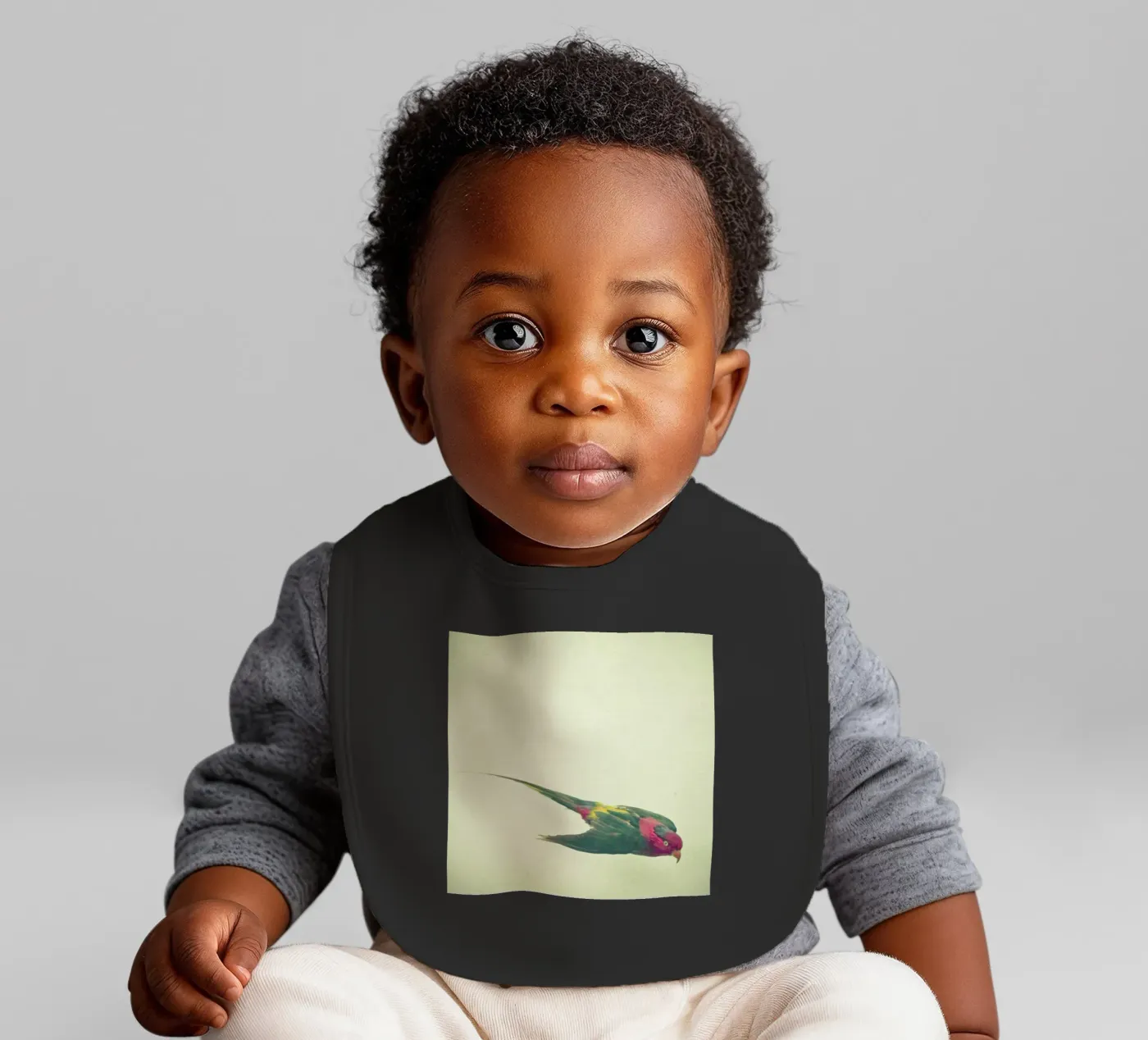 Bird study #4 baby bib by Cassia Beck Photography