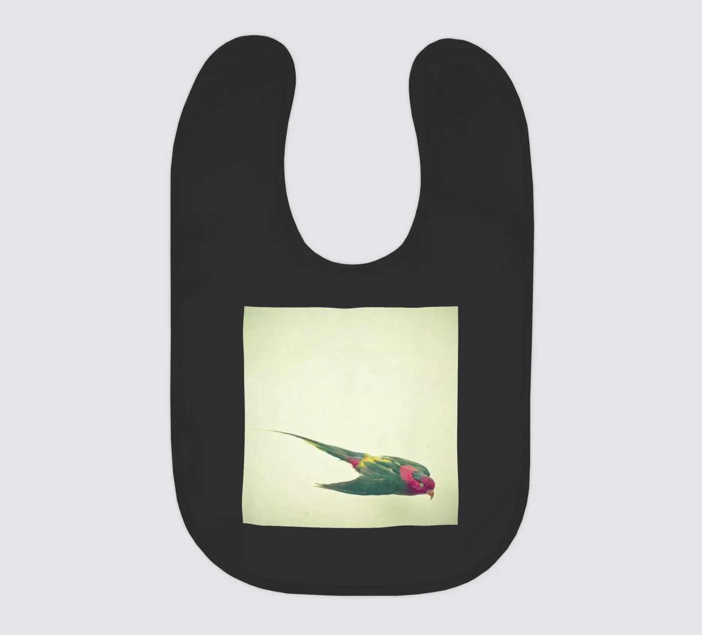 Bird study #4 baby bib by Cassia Beck Photography