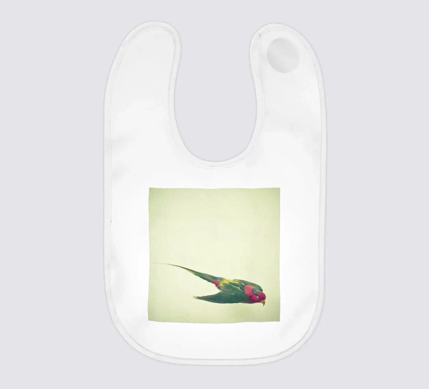 Bird study #4 baby bib by Cassia Beck Photography