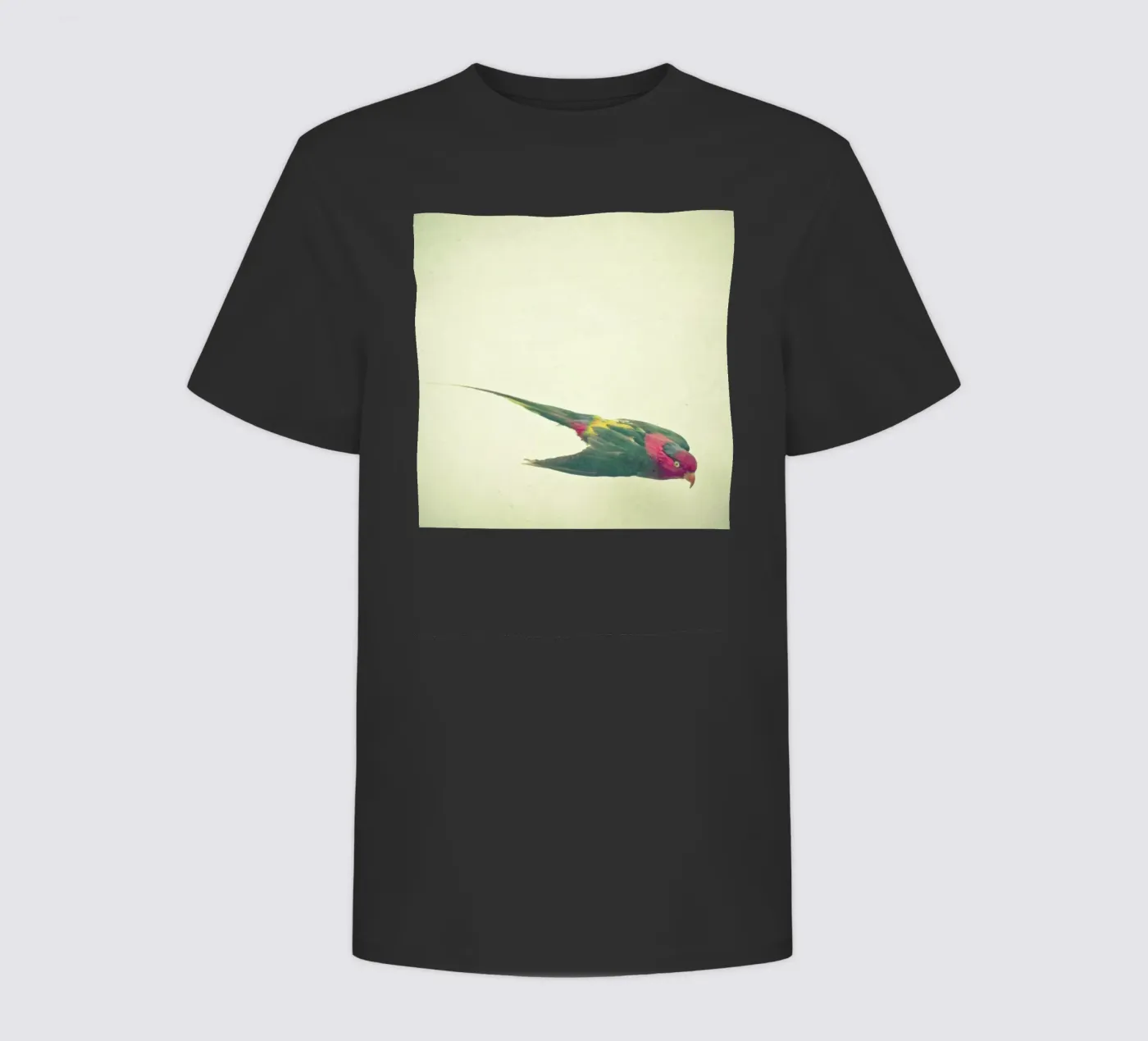 Bird study #4 Kinder T-Shirt von Cassia Beck Photography
