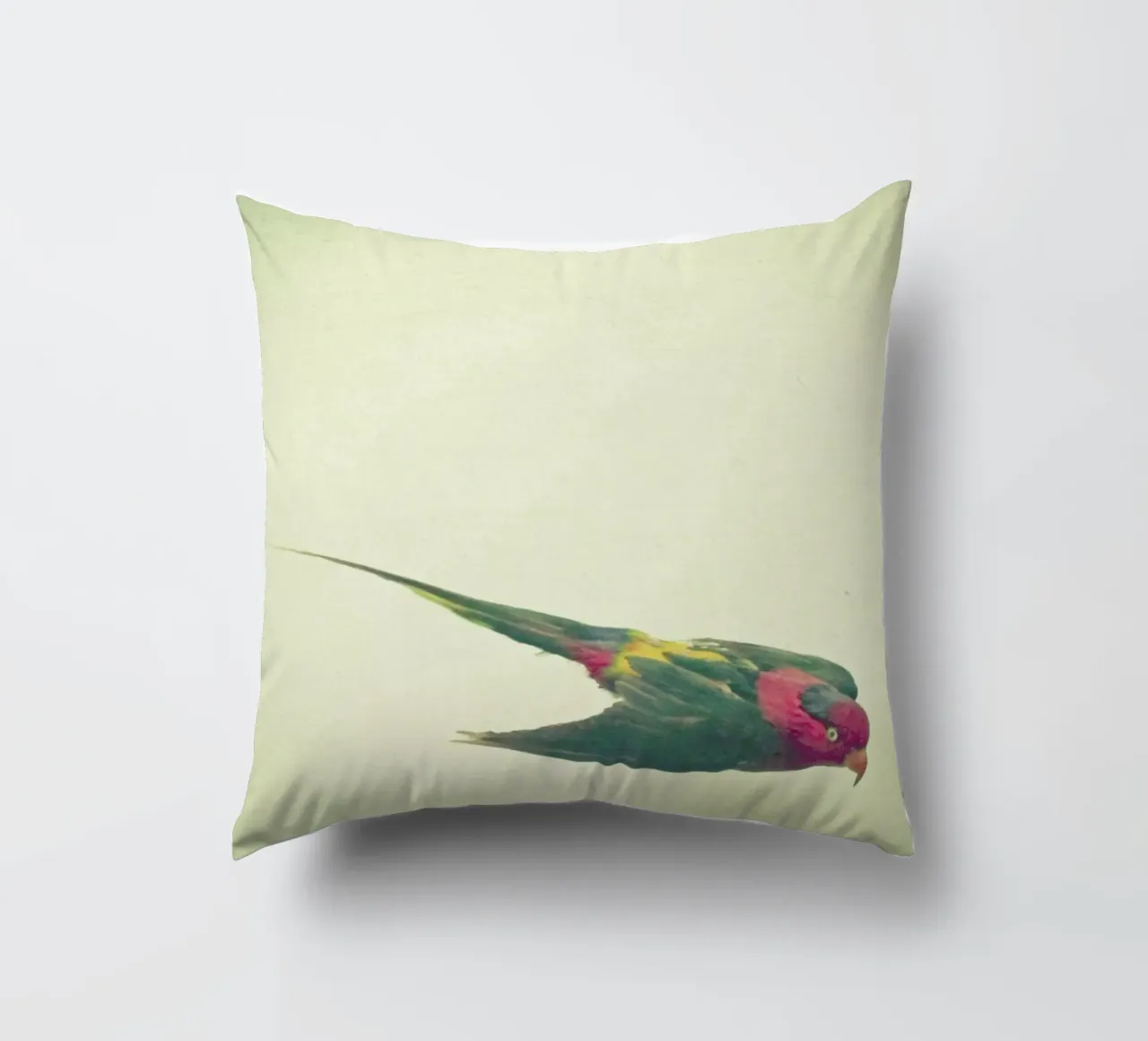 Studio degli uccelli #4 cuscino da Cassia Beck Photography