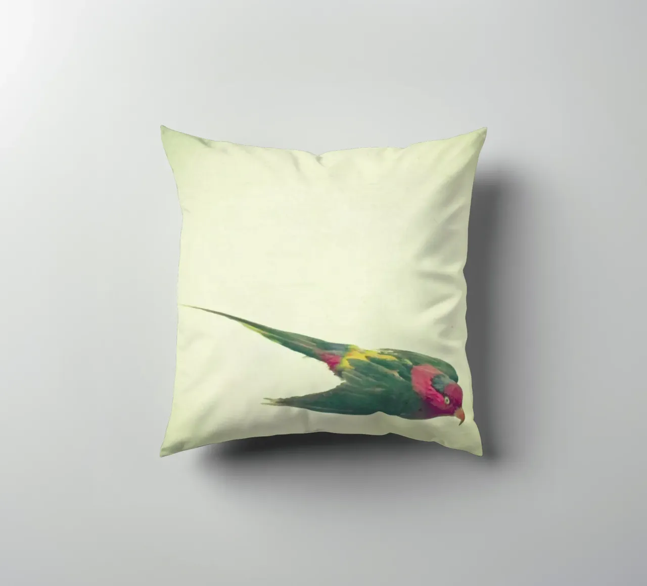 Studio degli uccelli #4 cuscino da Cassia Beck Photography