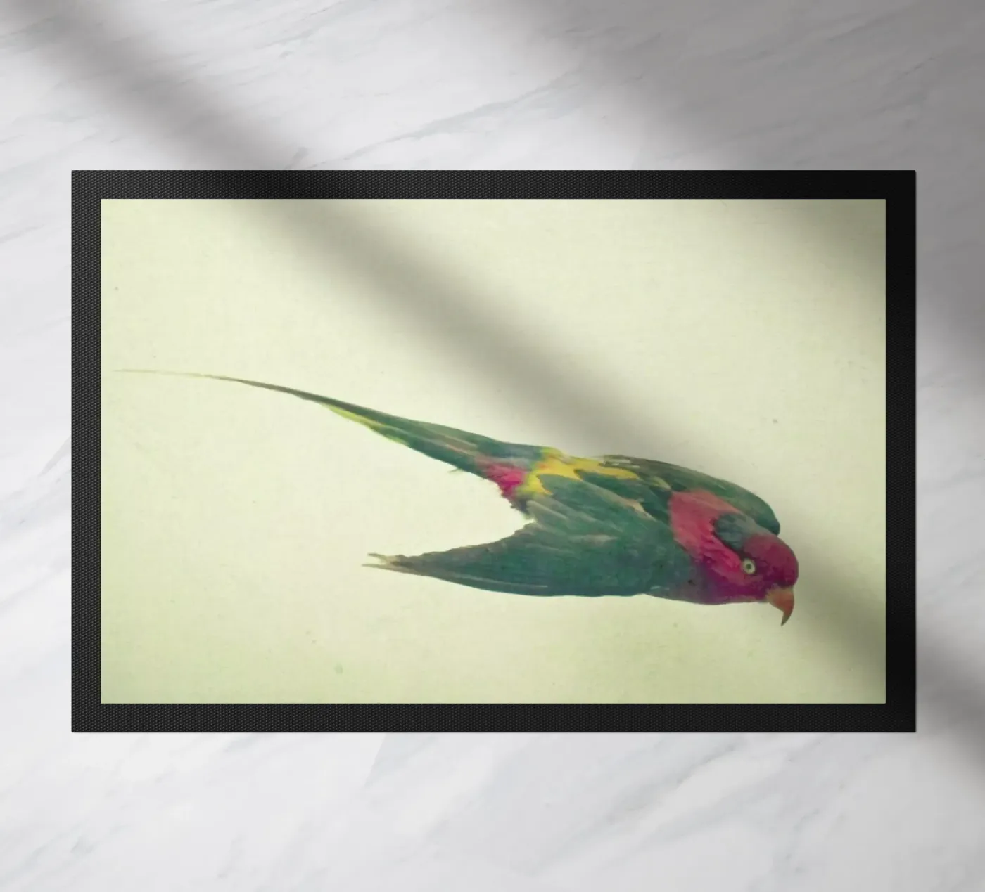 Bird study #4 doormat by Cassia Beck Photography