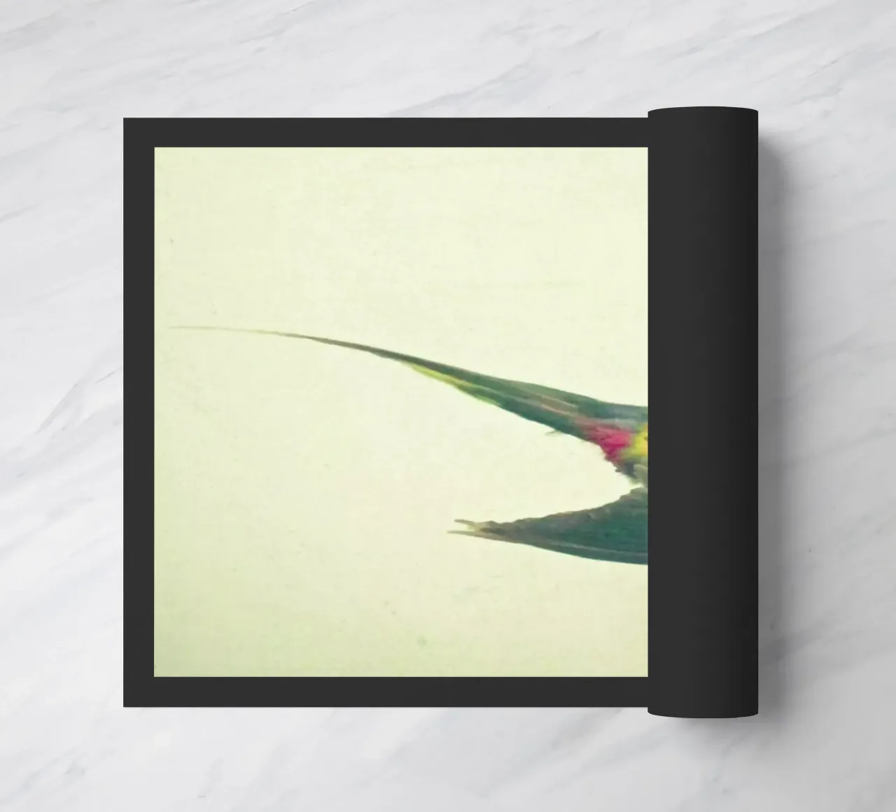 Bird study #4 Fußmatte von Cassia Beck Photography