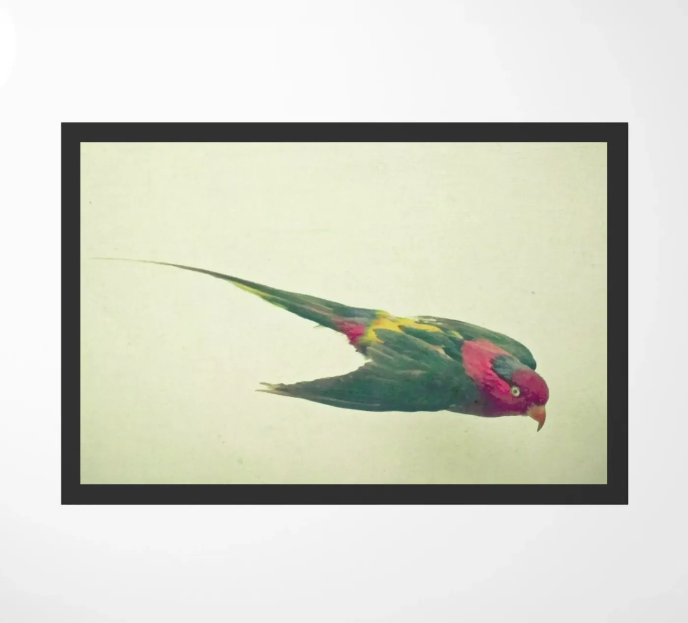 Bird study #4 doormat by Cassia Beck Photography