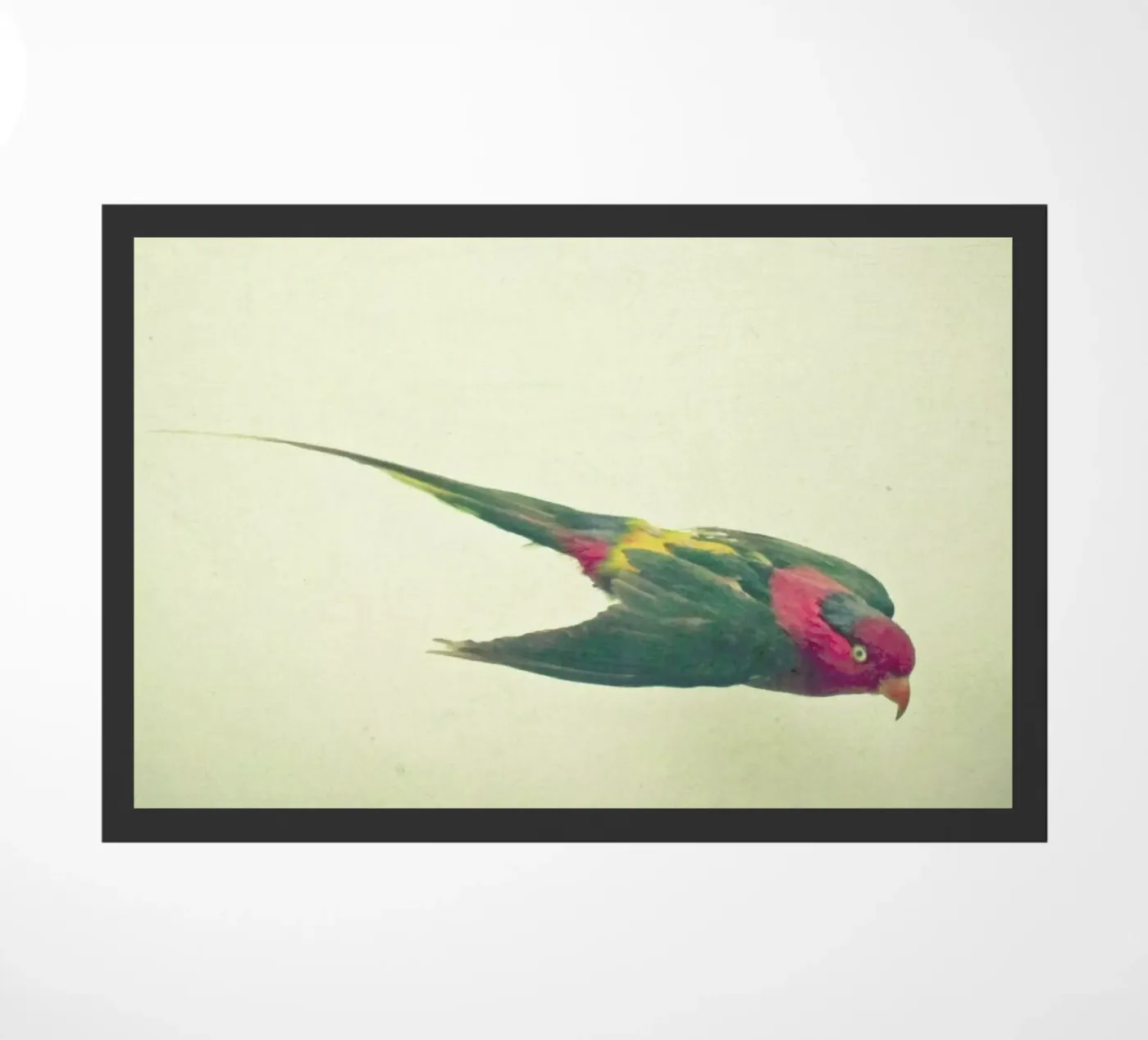 Bird study #4 doormat by Cassia Beck Photography