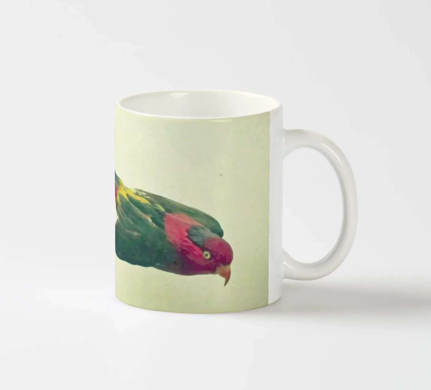Bird study #4 ceramic mug by Cassia Beck Photography