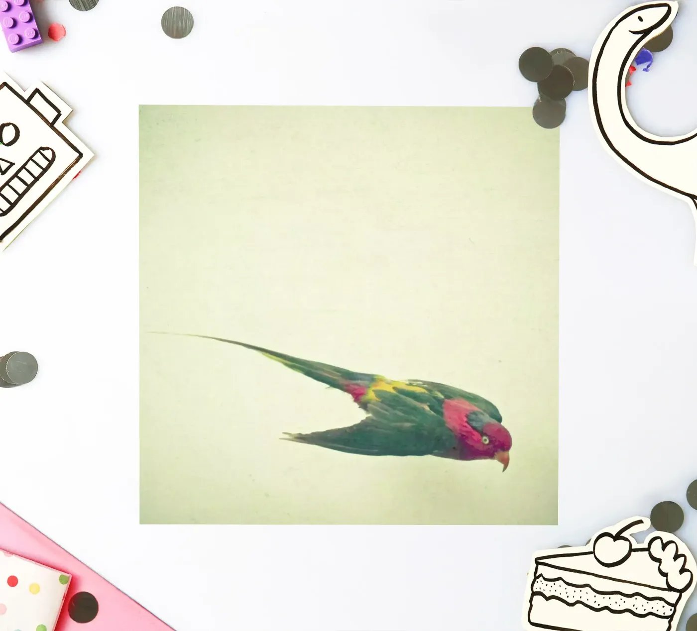 Bird study #4 sticker by Cassia Beck Photography