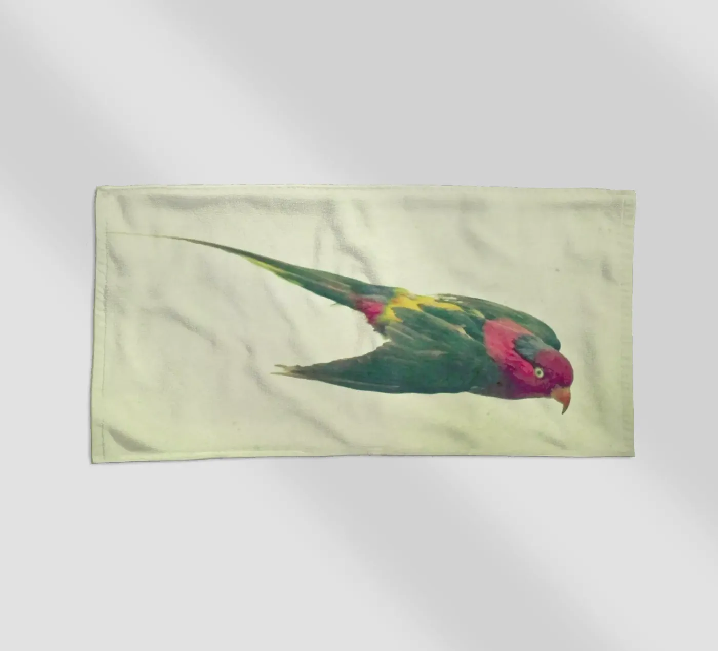 Bird study #4 telo mare da Cassia Beck Photography