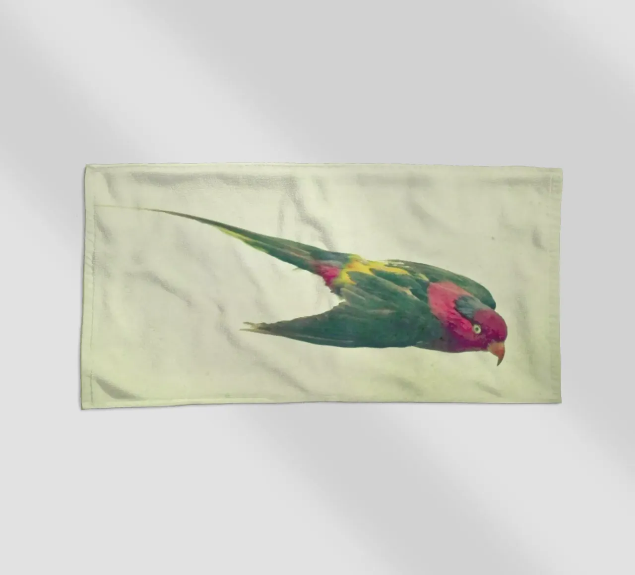 Studio degli uccelli #4 telo mare da Cassia Beck Photography