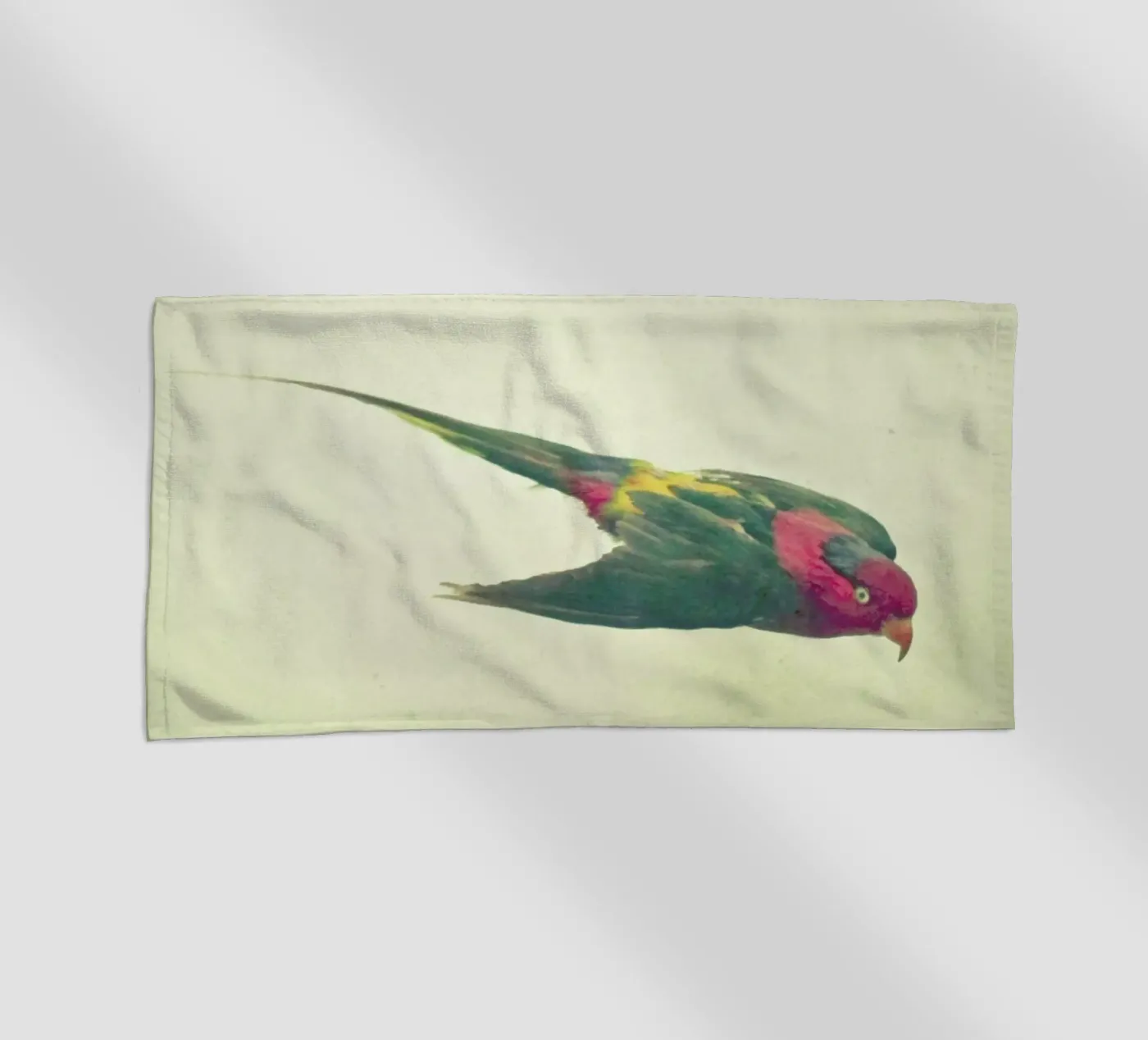 Vogelstudie #4 strandhanddoek van Cassia Beck Photography