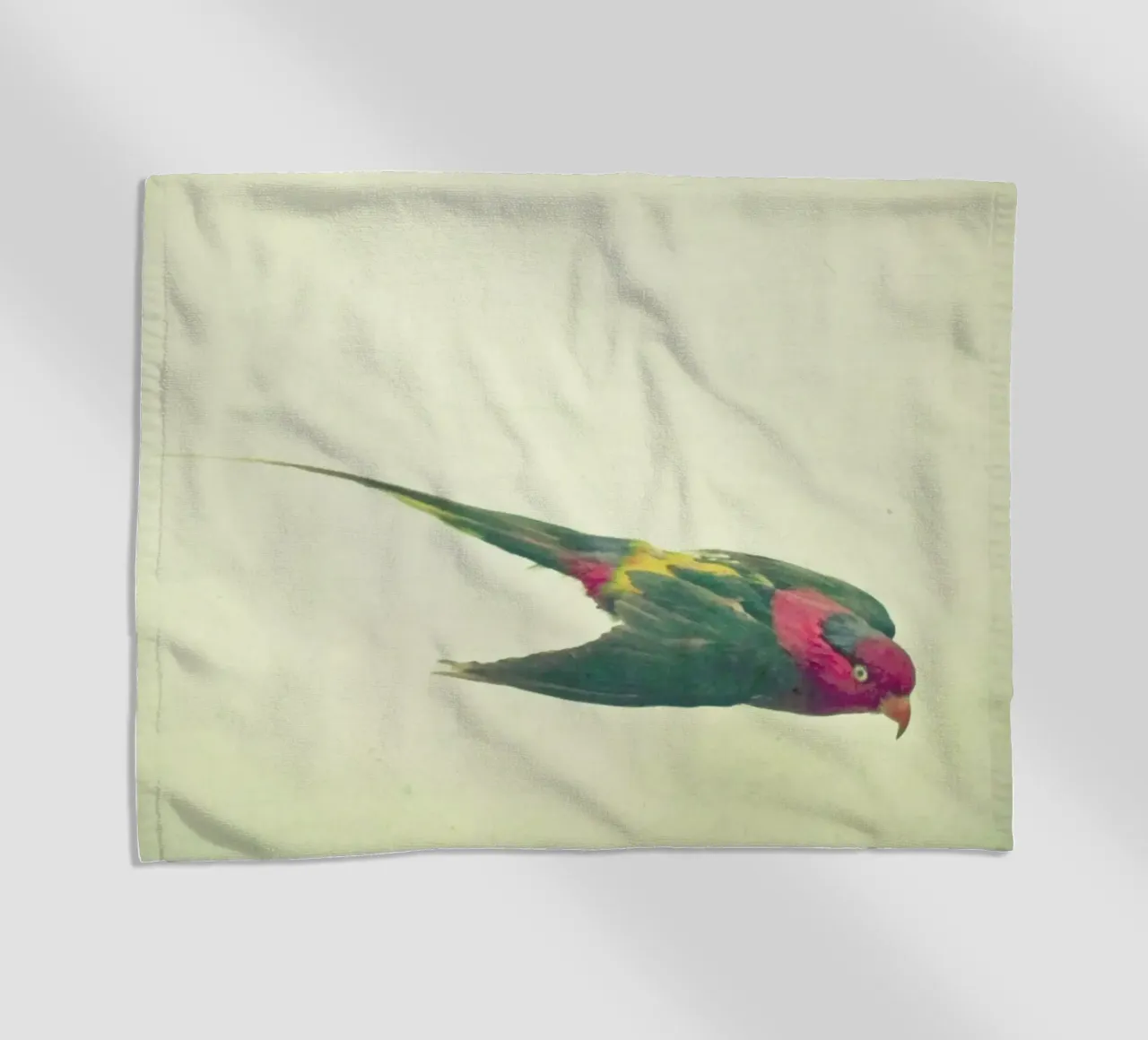 Studio degli uccelli #4 telo mare da Cassia Beck Photography