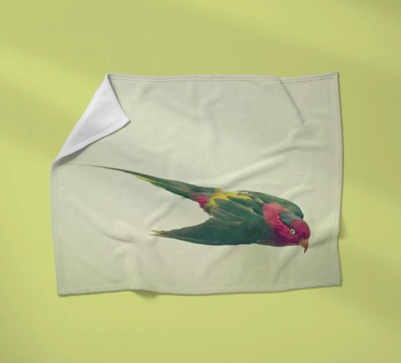 Bird study #4 fleece blanket by Cassia Beck Photography