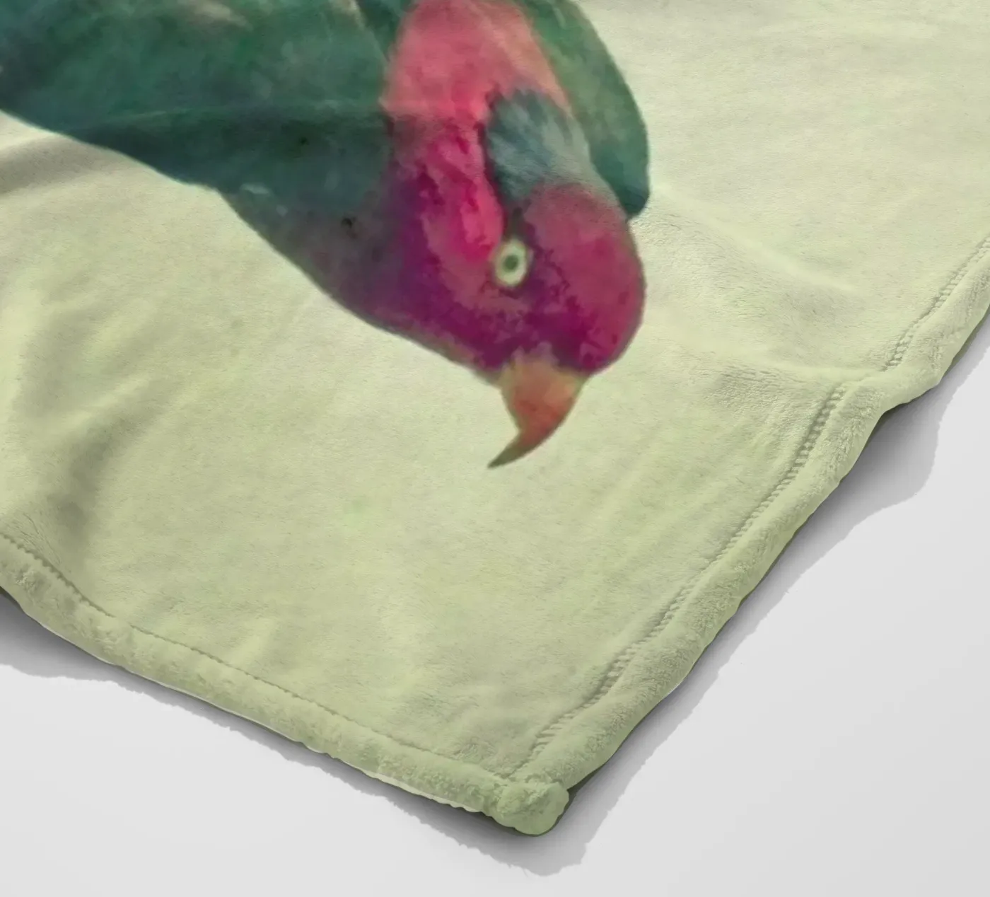 Bird study #4 fleece blanket by Cassia Beck Photography