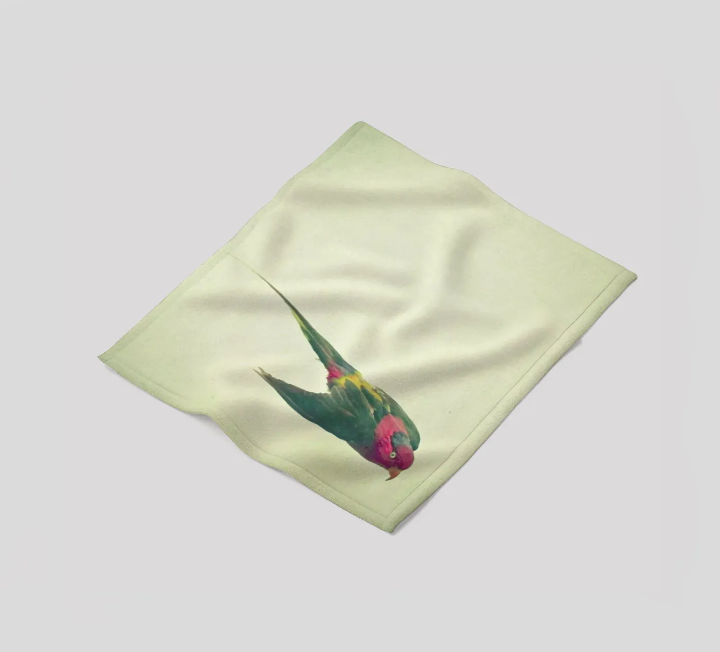 Bird study #4 fleece blanket by Cassia Beck Photography