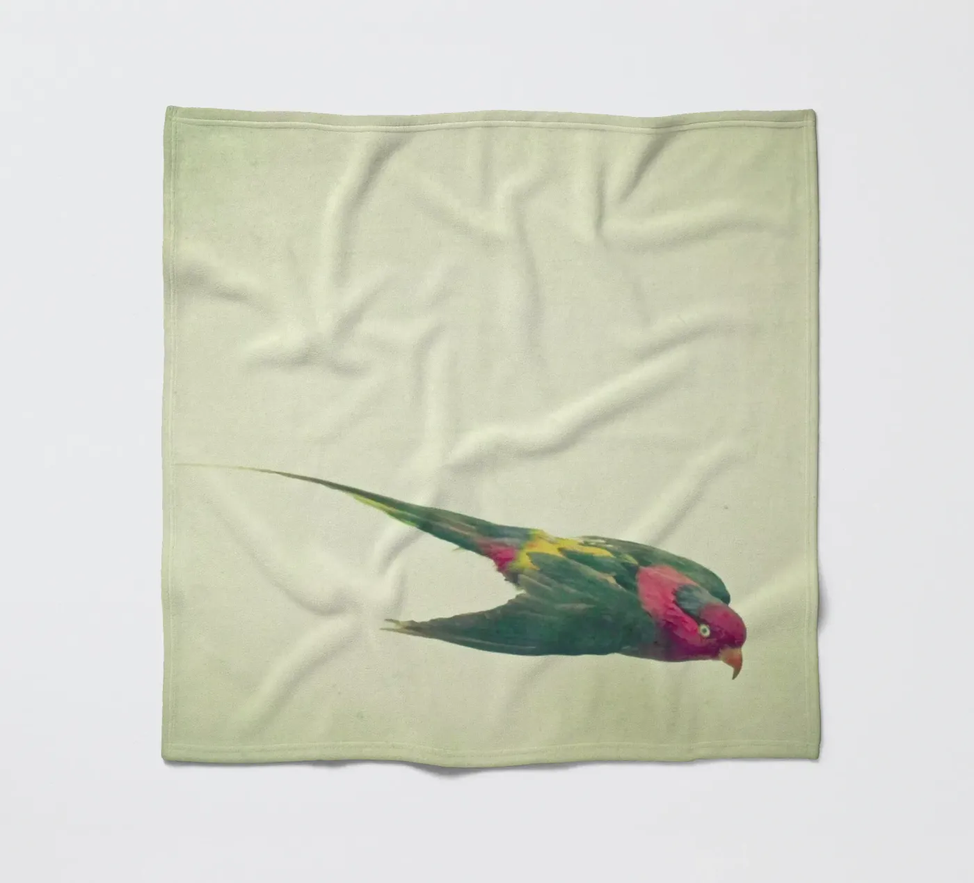 Bird study #4 fleece blanket by Cassia Beck Photography
