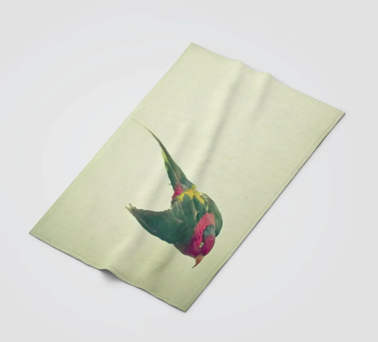 Vogelstudie #4 Fleecedecke von Cassia Beck Photography