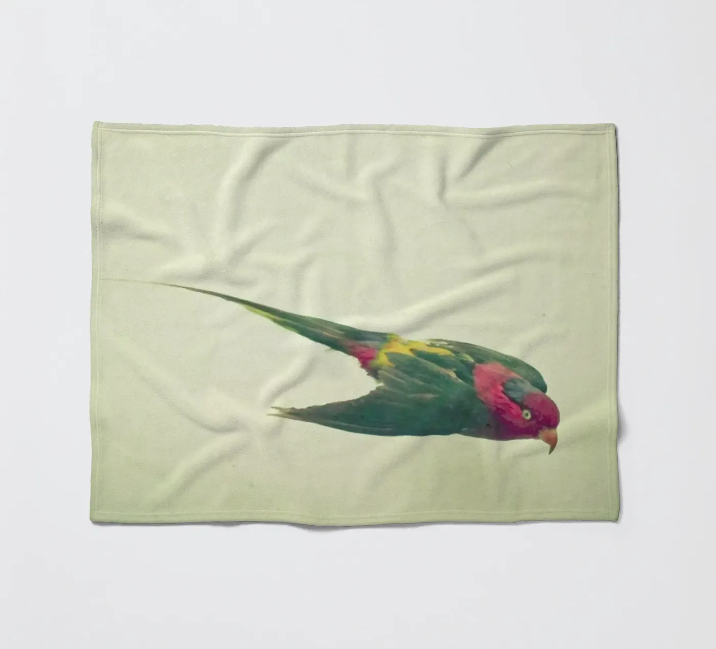 Bird study #4 fleece blanket by Cassia Beck Photography
