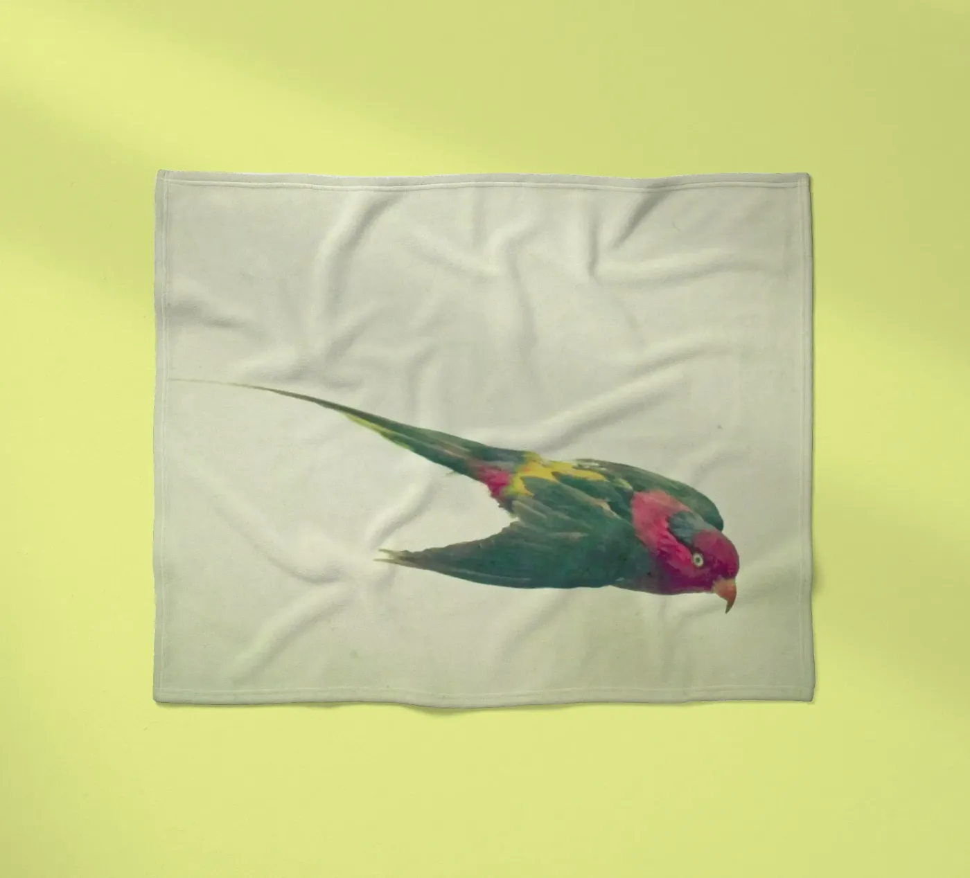 Bird study #4 fleece blanket by Cassia Beck Photography