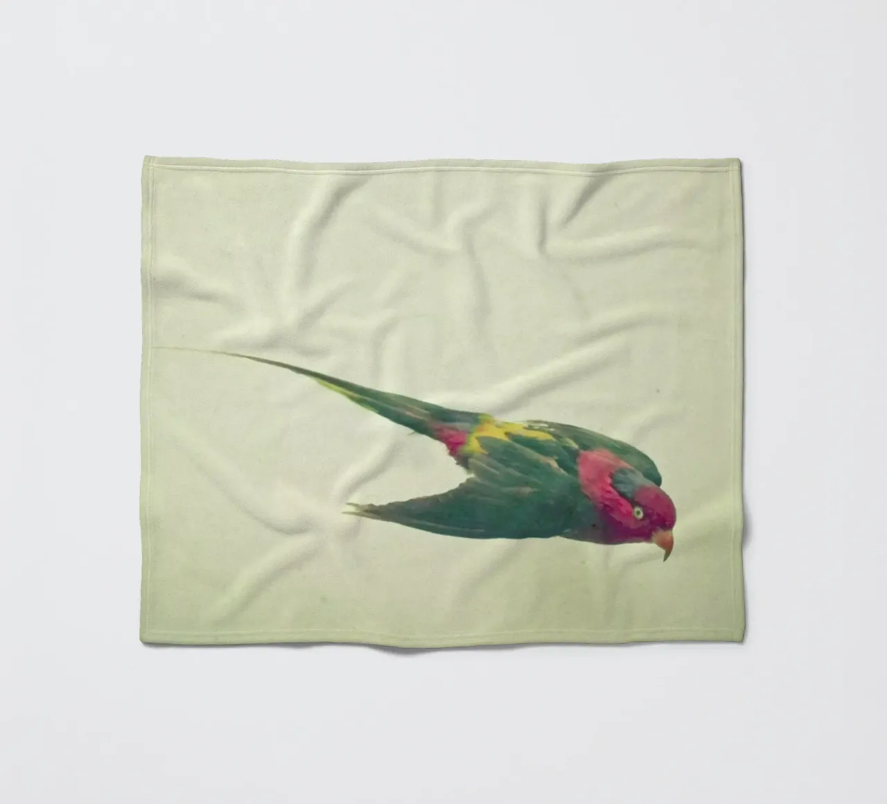 Vogelstudie #4 Fleecedecke von Cassia Beck Photography