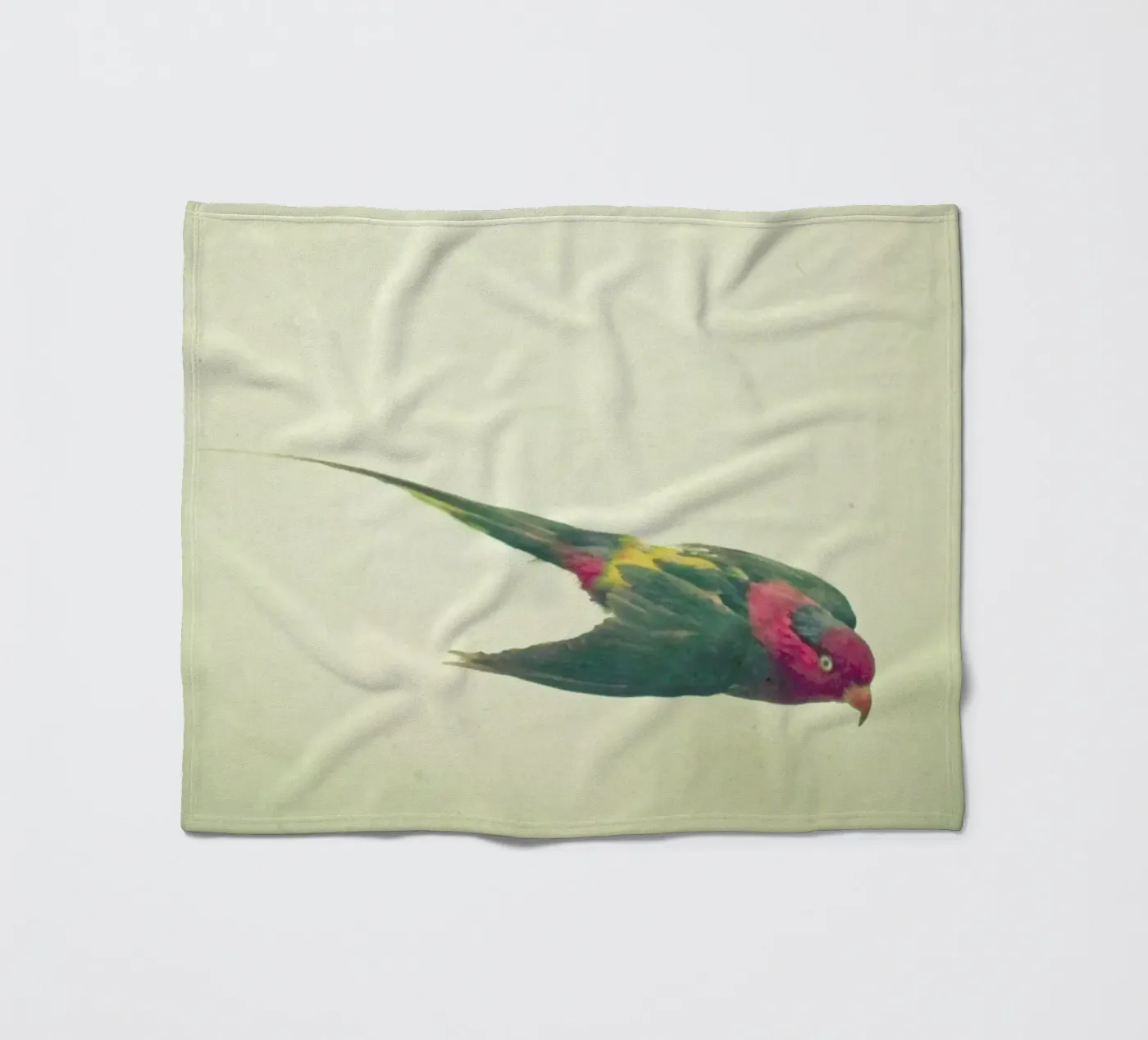 Bird study #4 fleece blanket by Cassia Beck Photography