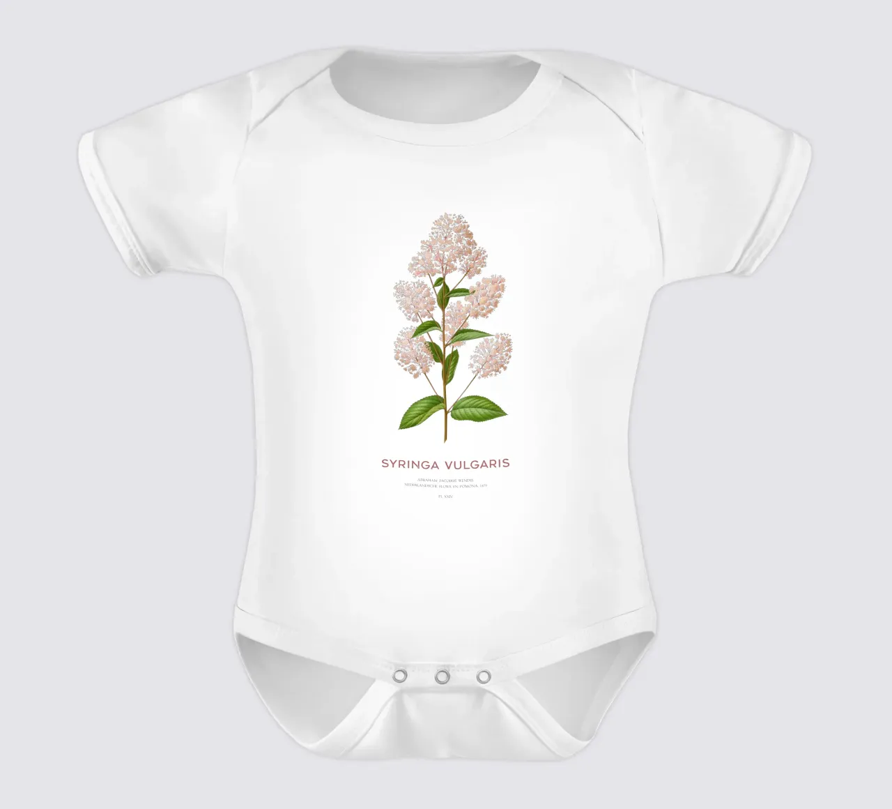 Lillà comune o Syringa vulgaris body neonato maniche corte da Vintagrafica