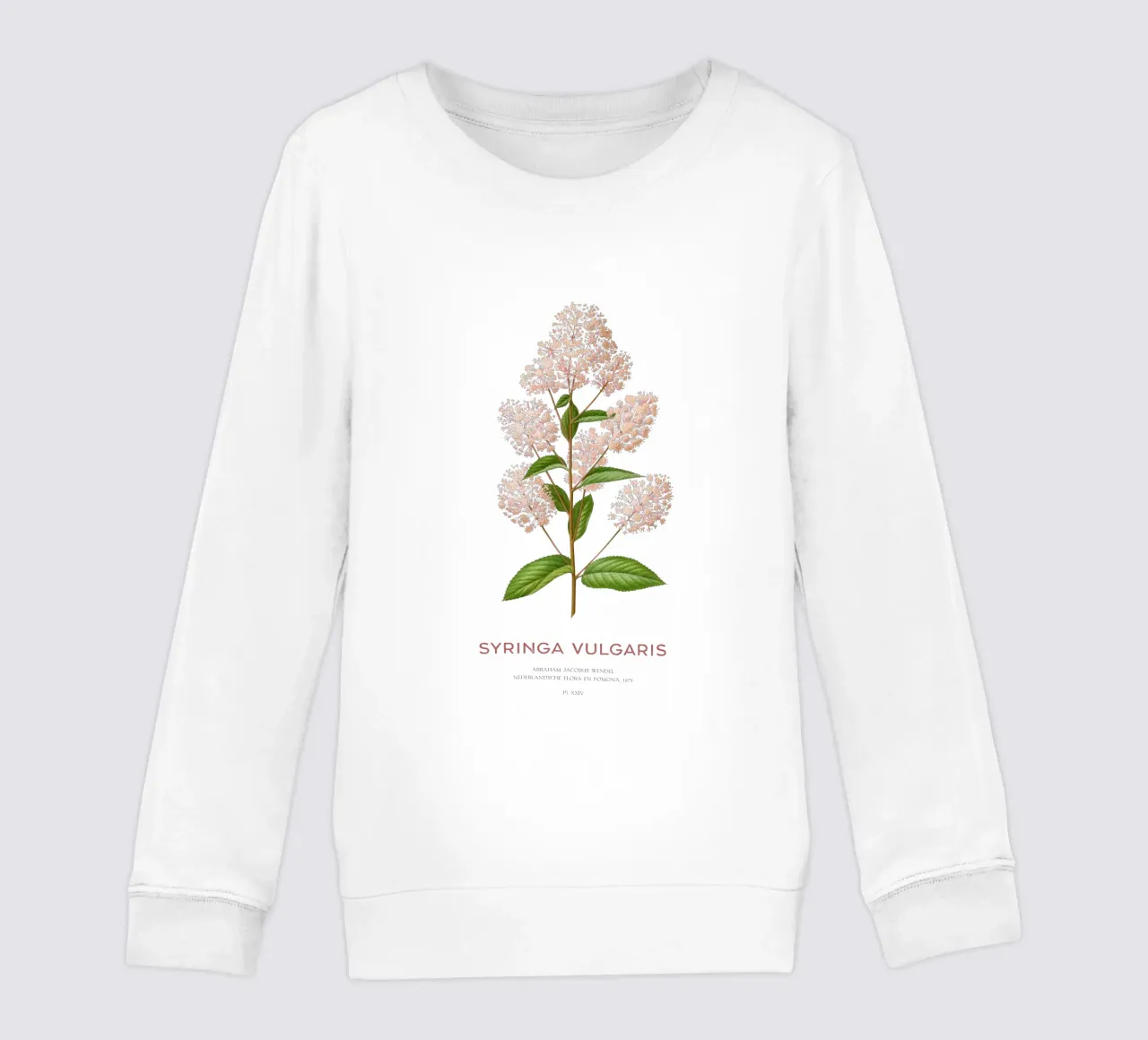 Lillà comune o Syringa vulgaris felpa bambino da Vintagrafica