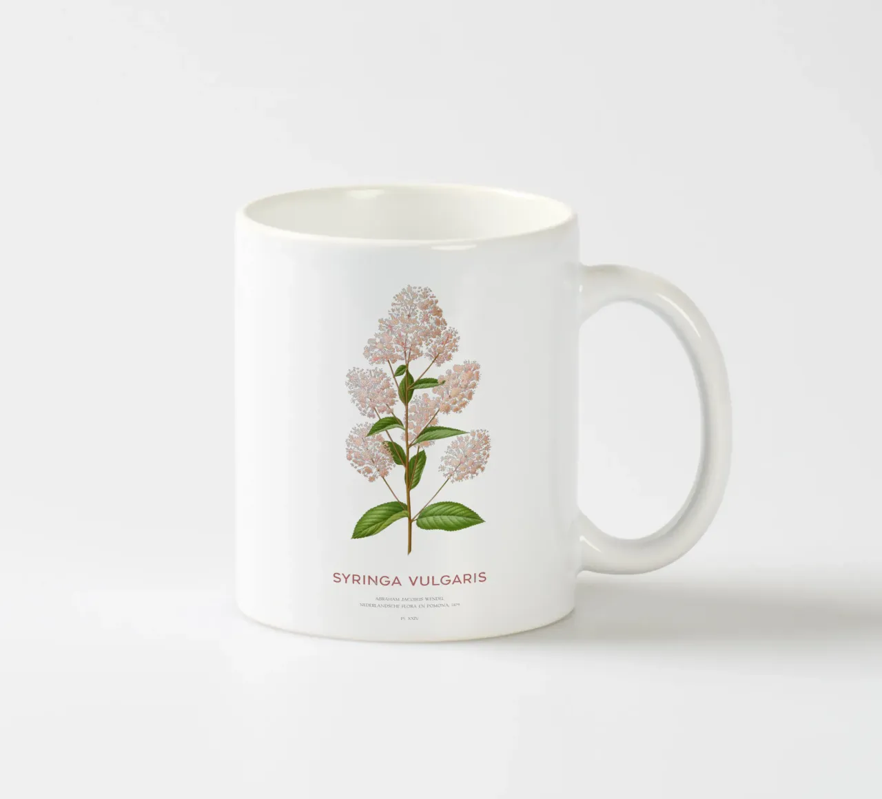 Lillà comune o Syringa vulgaris tazza in ceramica da Vintagrafica