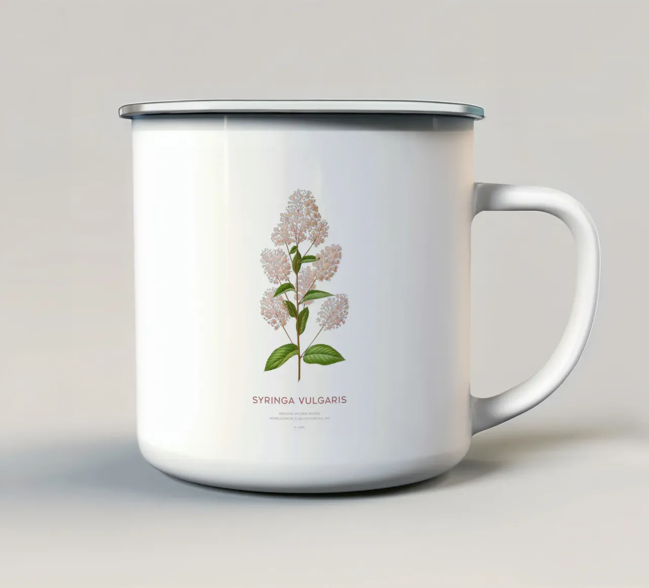 Lillà comune o Syringa vulgaris tazza in smalto da Vintagrafica