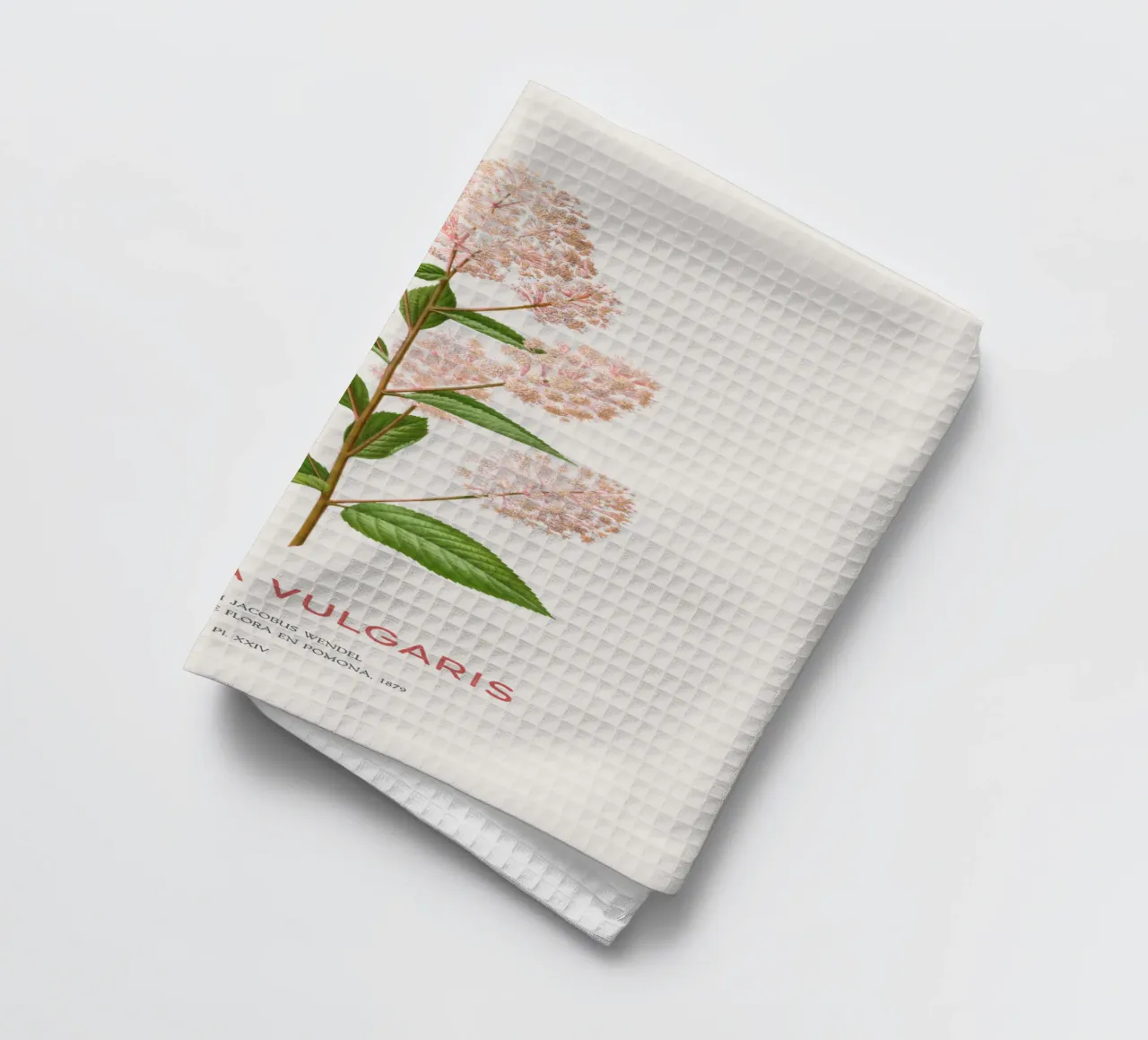 Lillà comune o Syringa vulgaris canovaccio da cucina da Vintagrafica