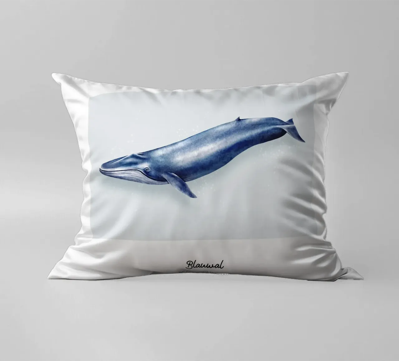 Balenottera azzurra - Illustrazione di balene e delfini cuscino da Moonlit Illustrations