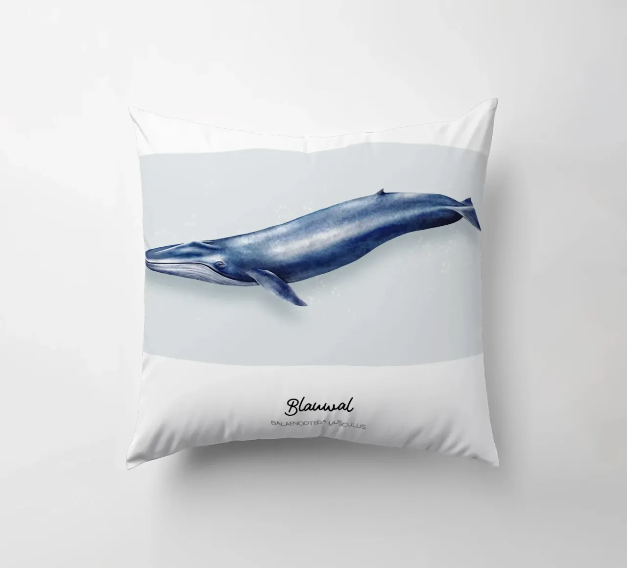 Balenottera azzurra - Illustrazione di balene e delfini cuscino da Moonlit Illustrations