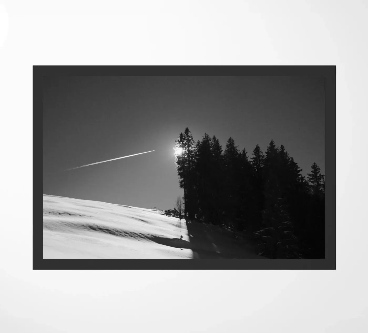 Winter Shadows zerbino da FujiMonochrome