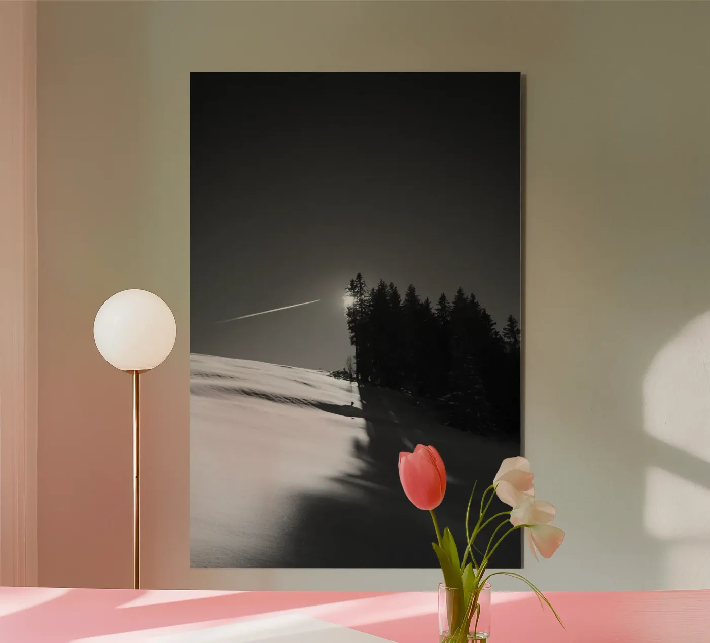 Winter Shadows alluminio dibond da FujiMonochrome