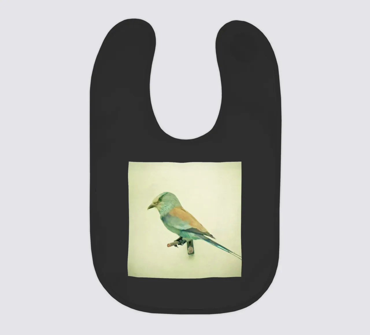 Bird study #2 baby bib by Cassia Beck Photography