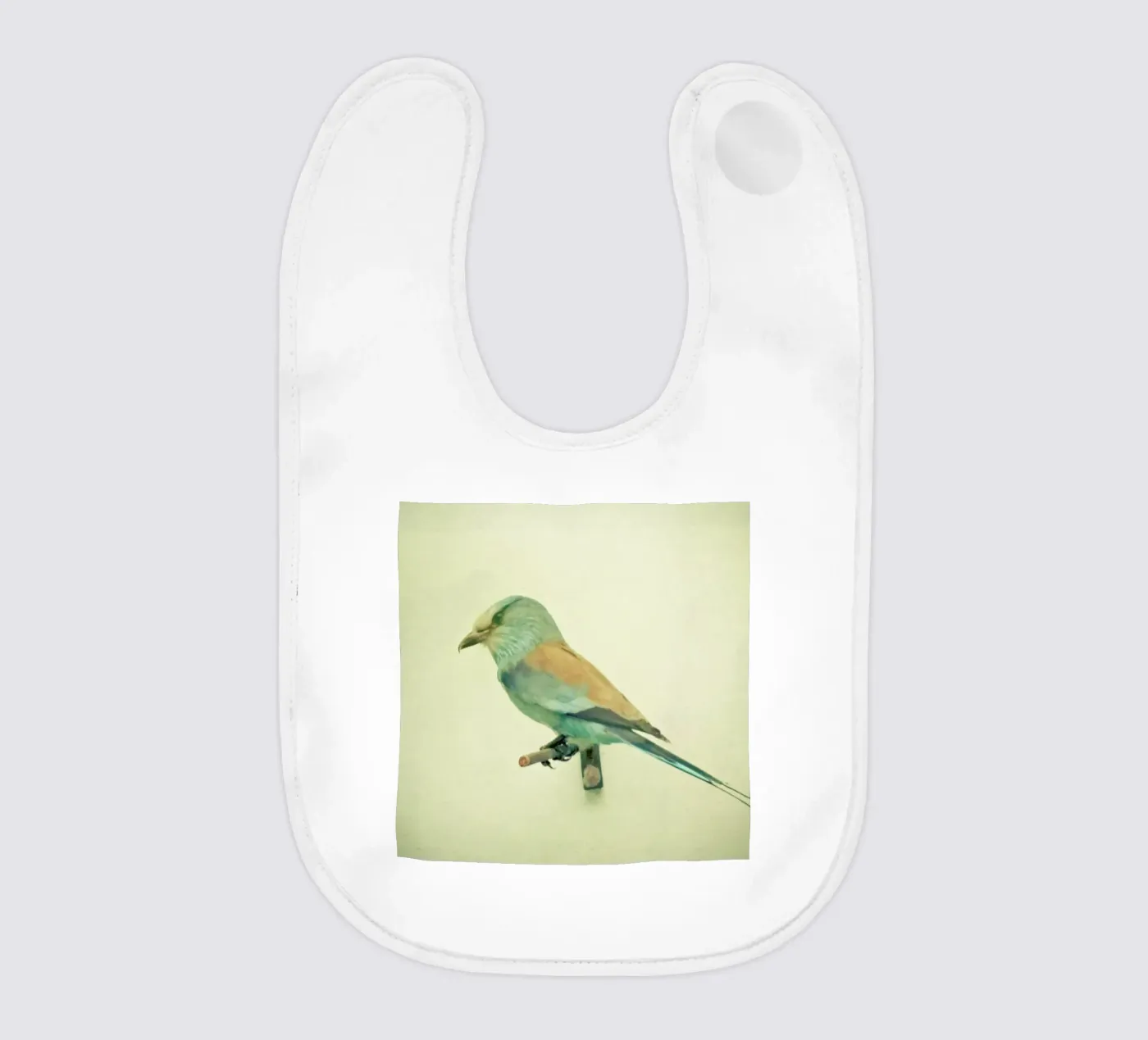 Bird study #2 bavaglino da Cassia Beck Photography