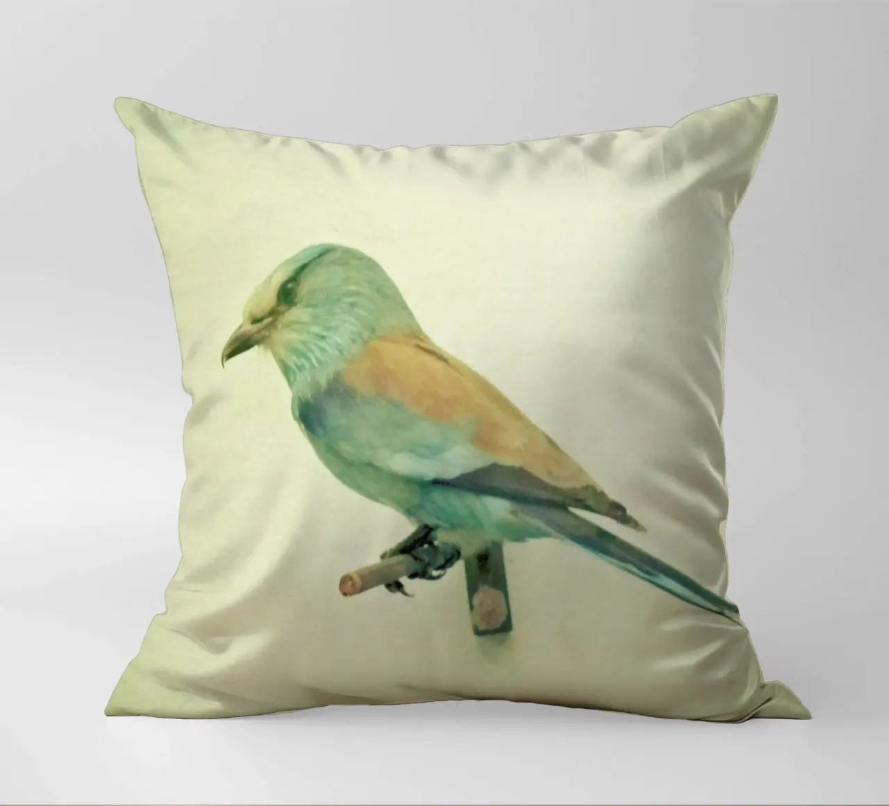 Studio degli uccelli #2 cuscino da Cassia Beck Photography