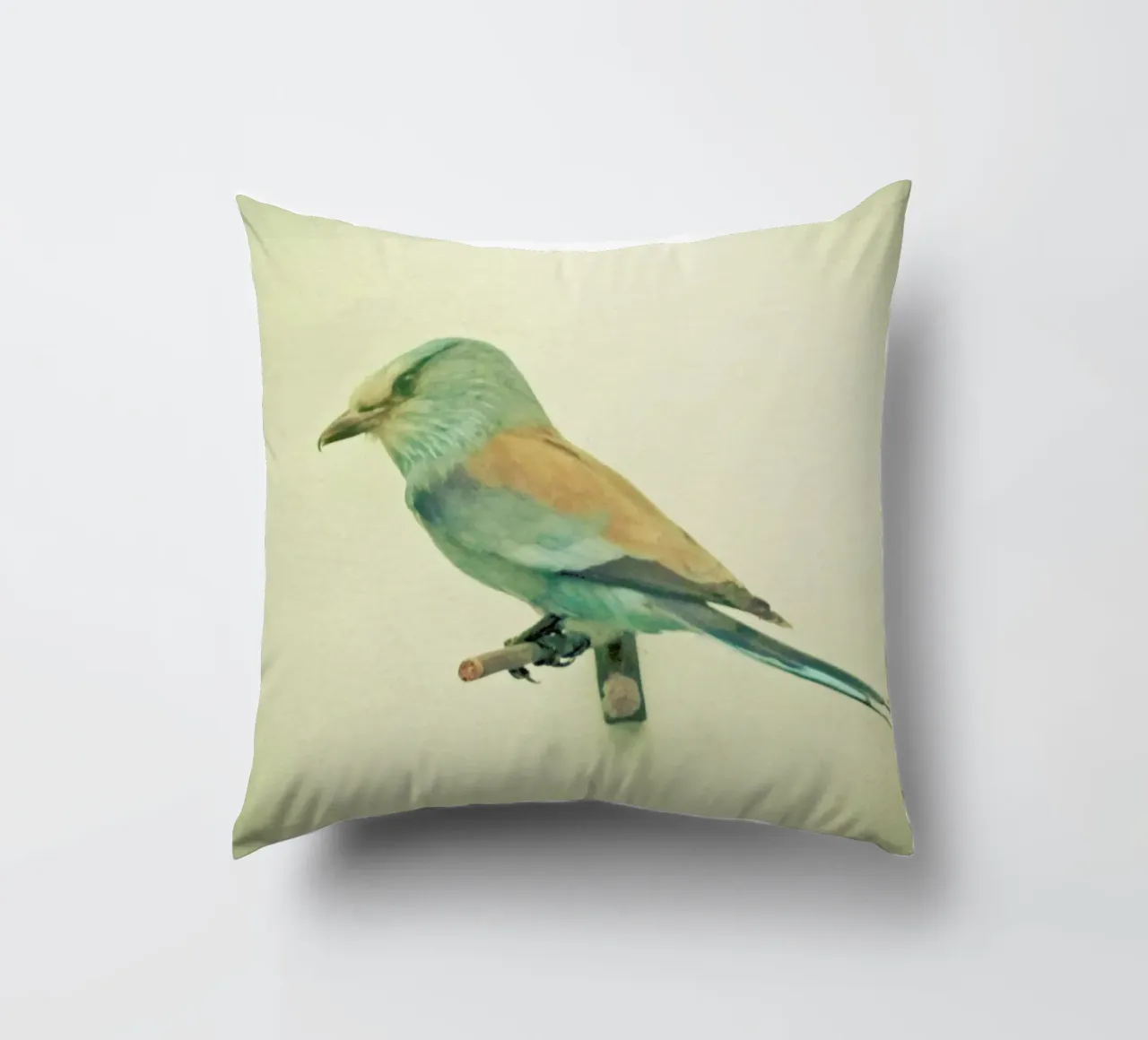 Studio degli uccelli #2 cuscino da Cassia Beck Photography