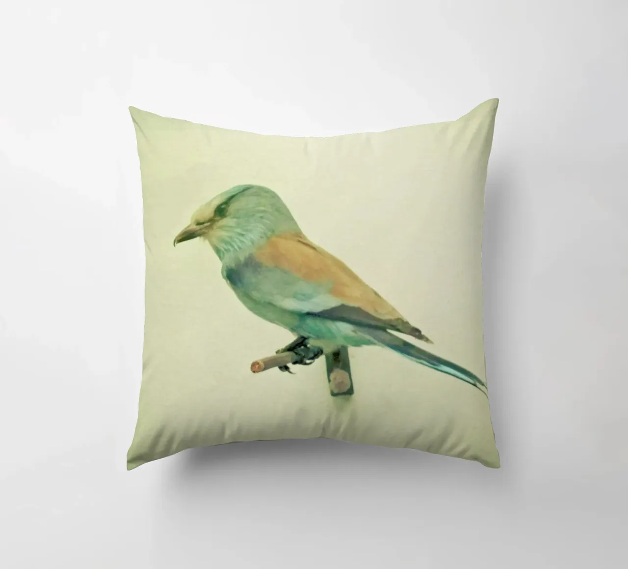 Studio degli uccelli #2 cuscino da Cassia Beck Photography