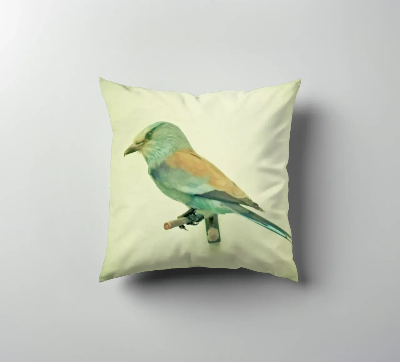 Studio degli uccelli #2 cuscino da Cassia Beck Photography