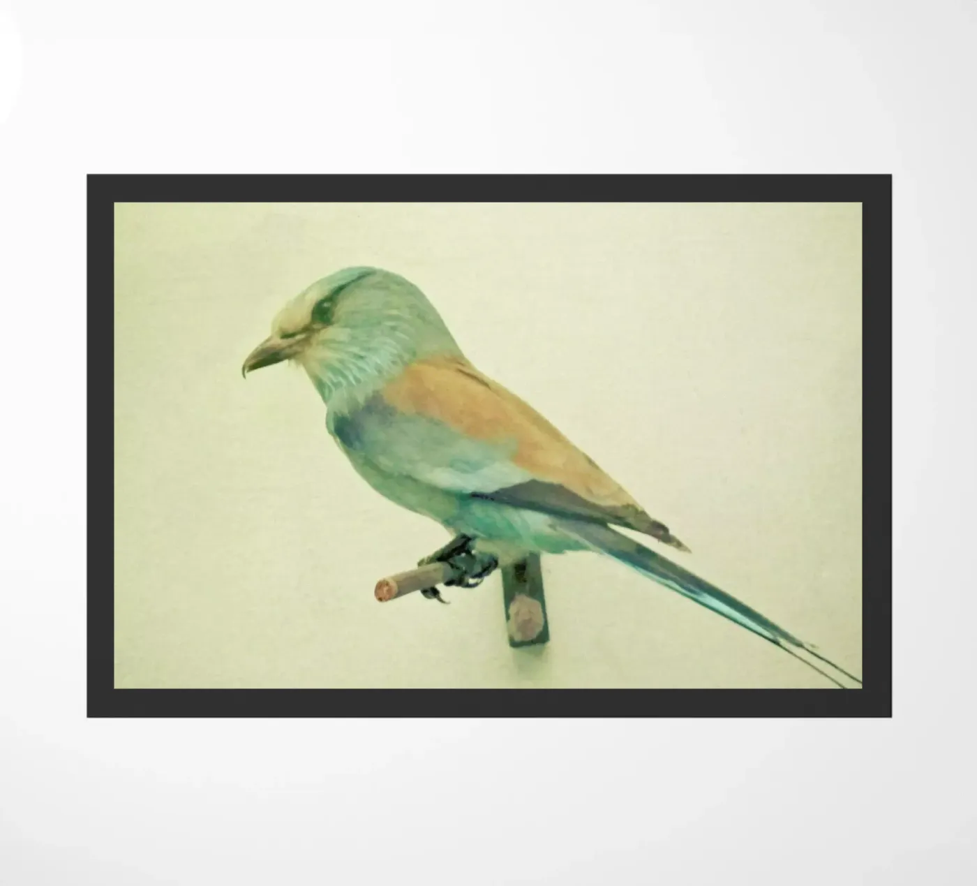 Bird study #2 deurmat van Cassia Beck Photography