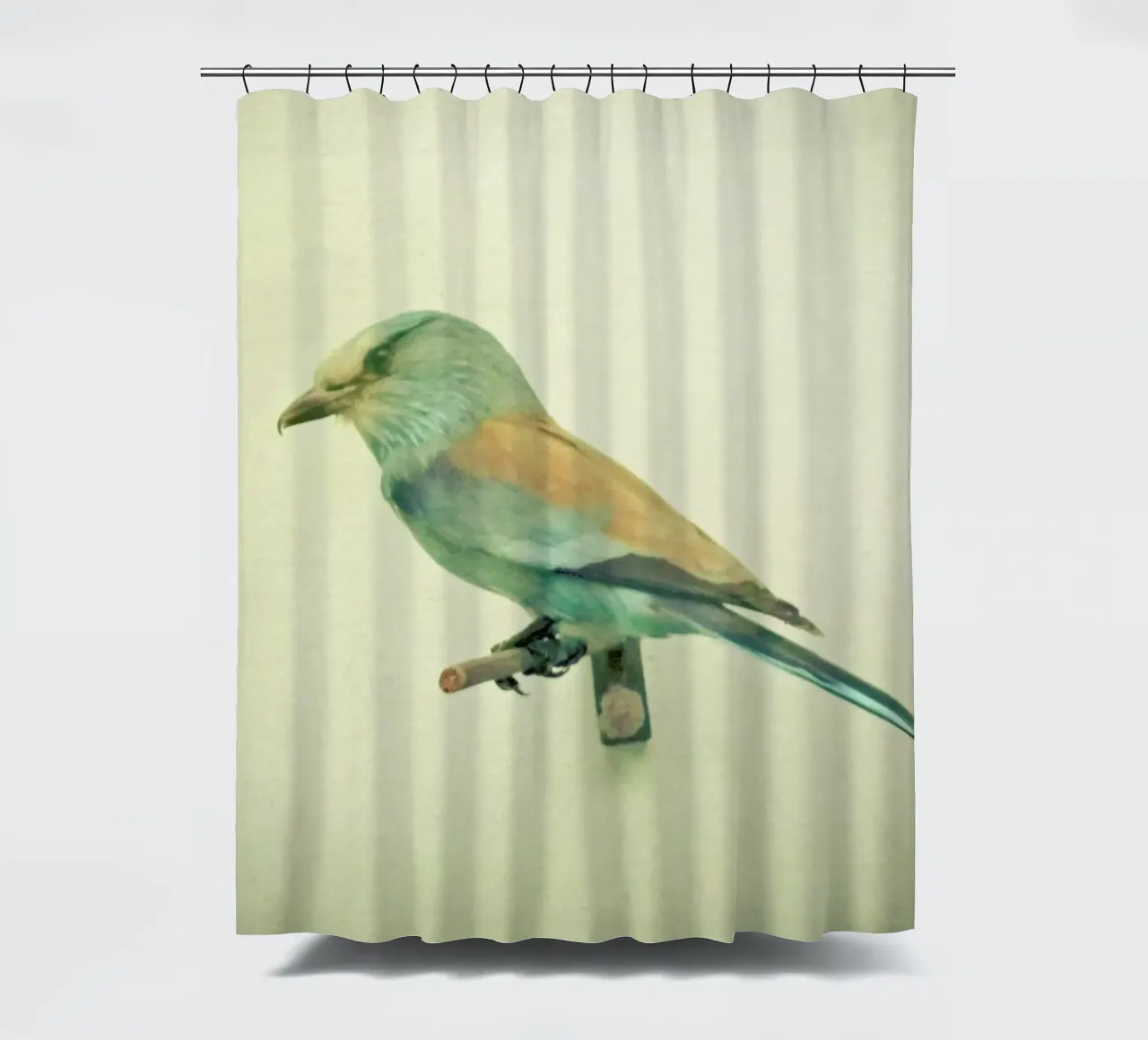 Studio degli uccelli #2 tenda da doccia da Cassia Beck Photography