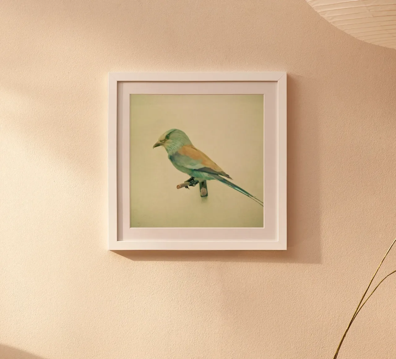 Bird study #2 poster by Cassia Beck Photography