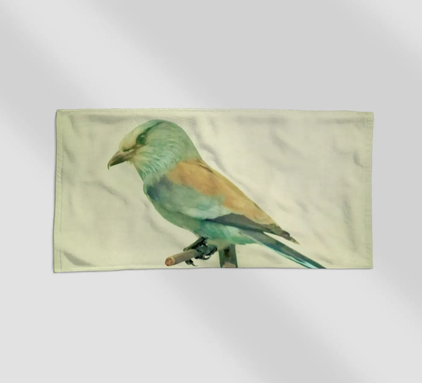 Bird study #2 telo mare da Cassia Beck Photography