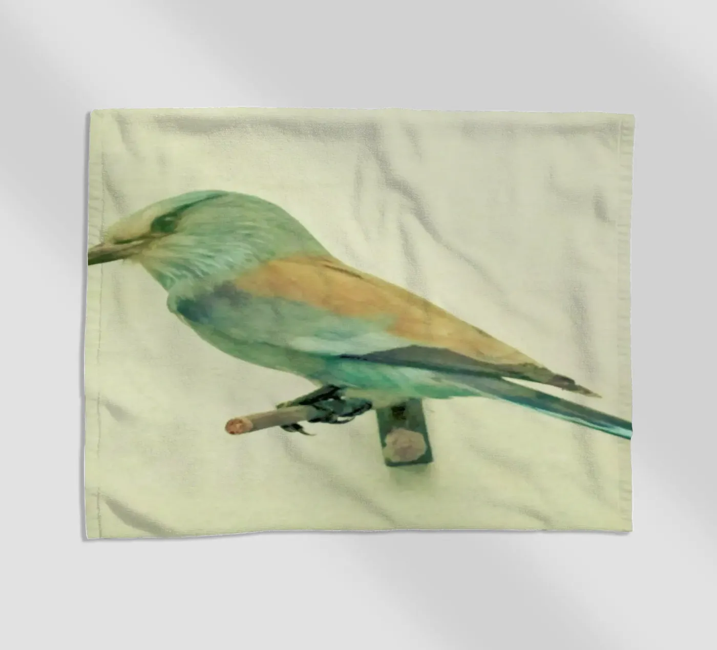 Bird study #2 telo mare da Cassia Beck Photography