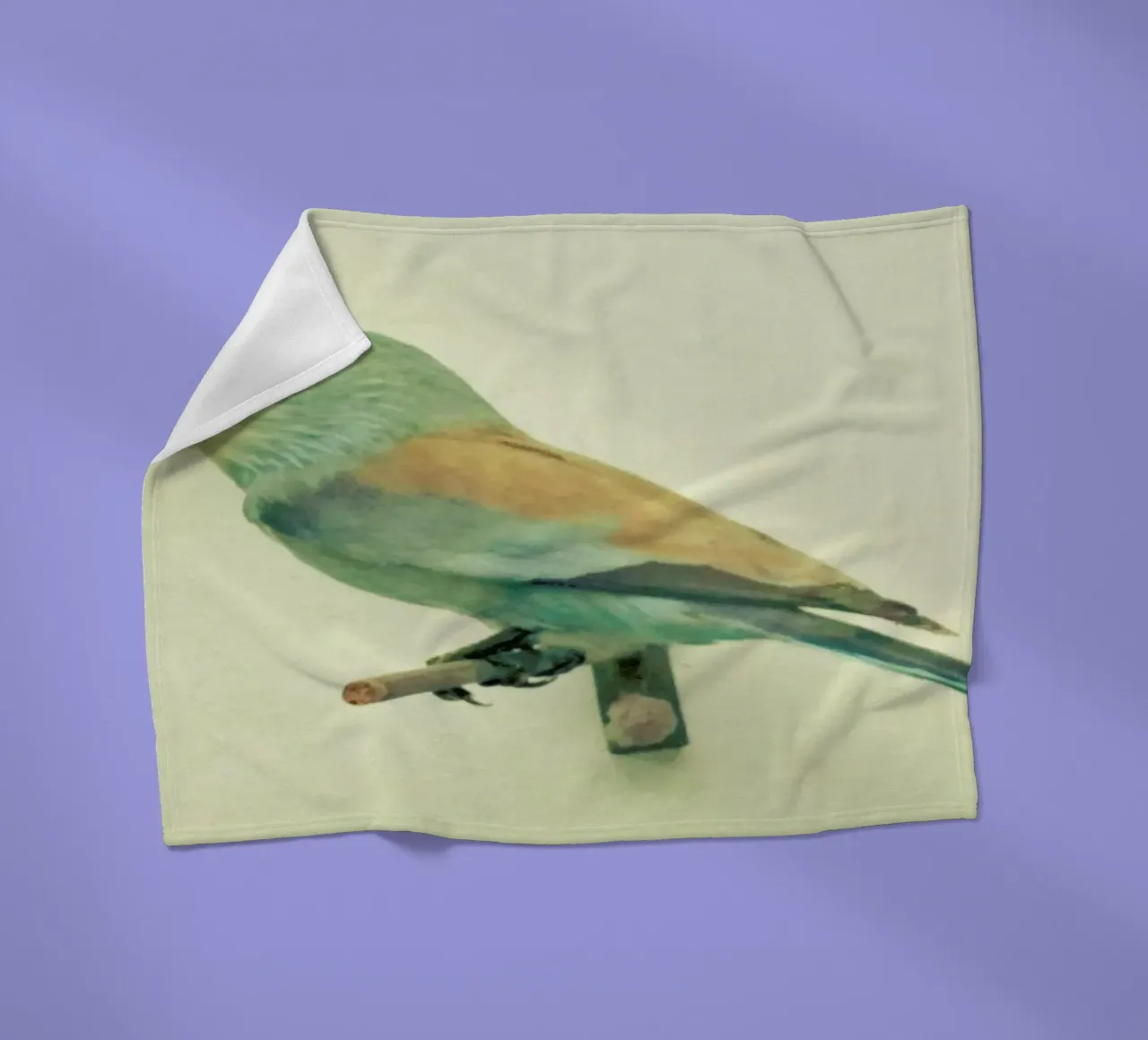 Bird study #2 Fleecedecke von Cassia Beck Photography