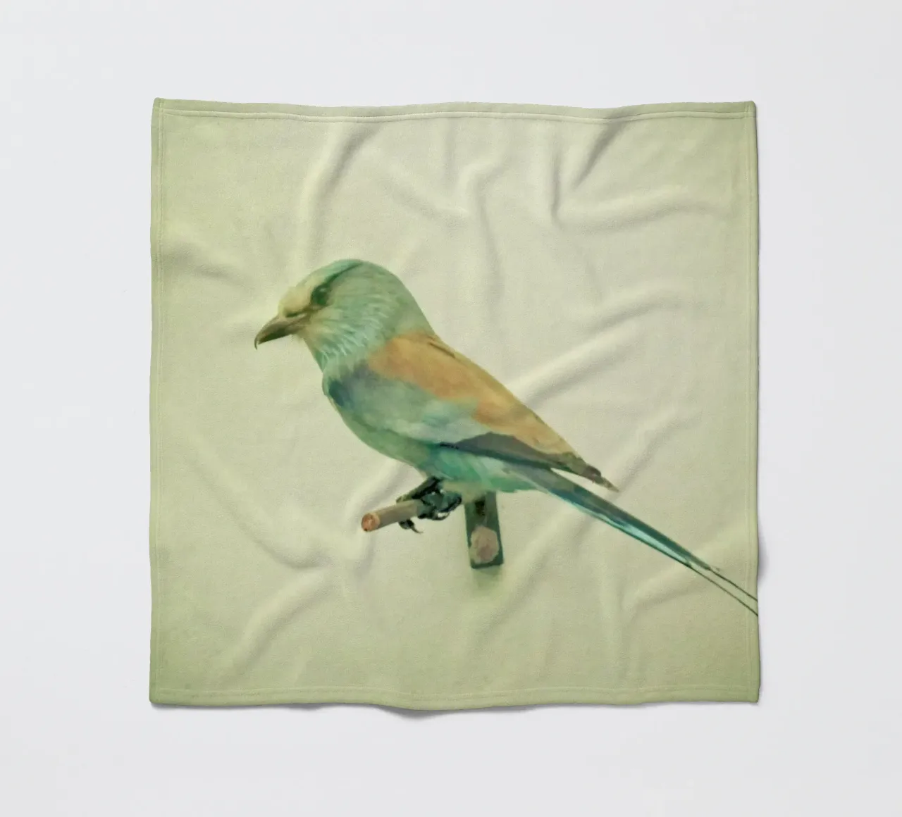 Bird study #2 Fleecedecke von Cassia Beck Photography