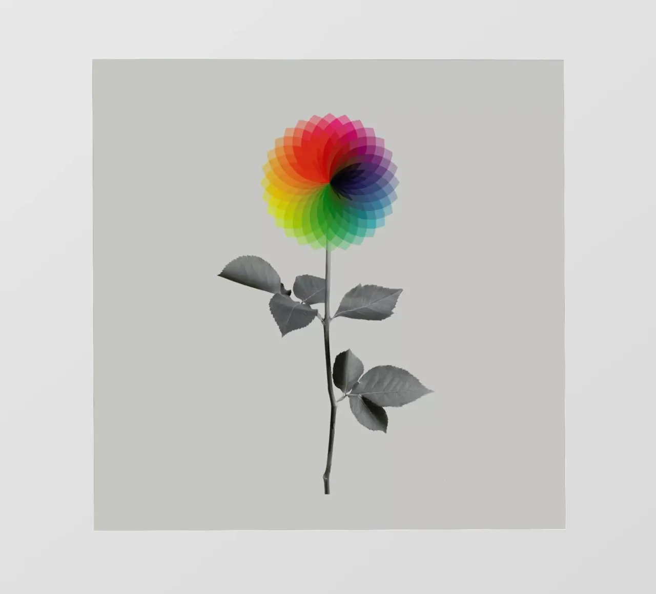 Flower pellicola backlit da Chris Wharton